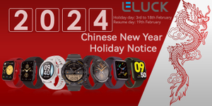 EELUCK Chinese New Year 2024 Holiday Notice.jpg
